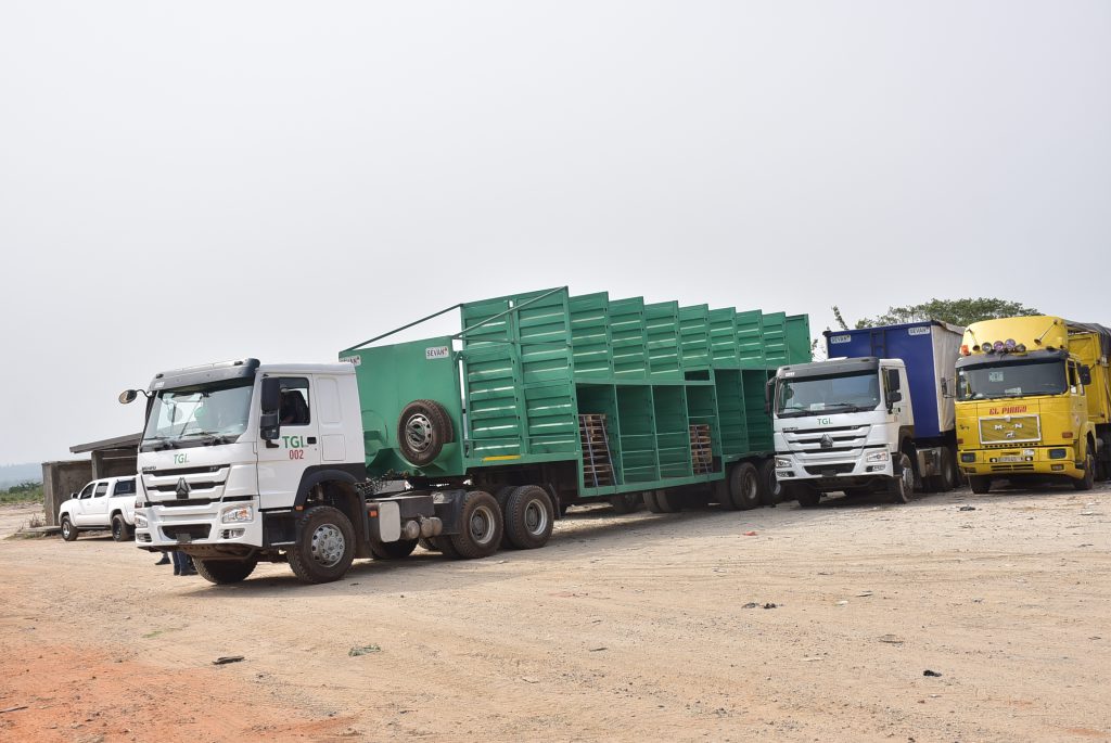 TGL truck with green cargo trailer